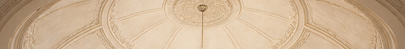 Ceiling Dome Ceiling Dome Design General Photo Muted