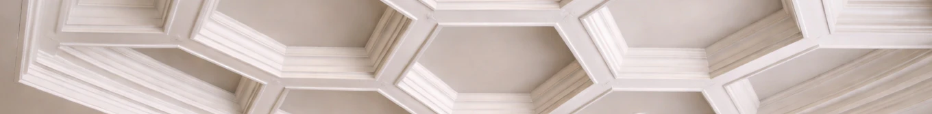 modern coffered ceiling