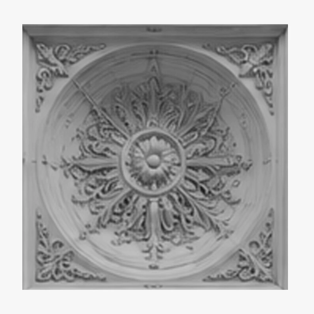 Carved Foam Ceiling Systems 2