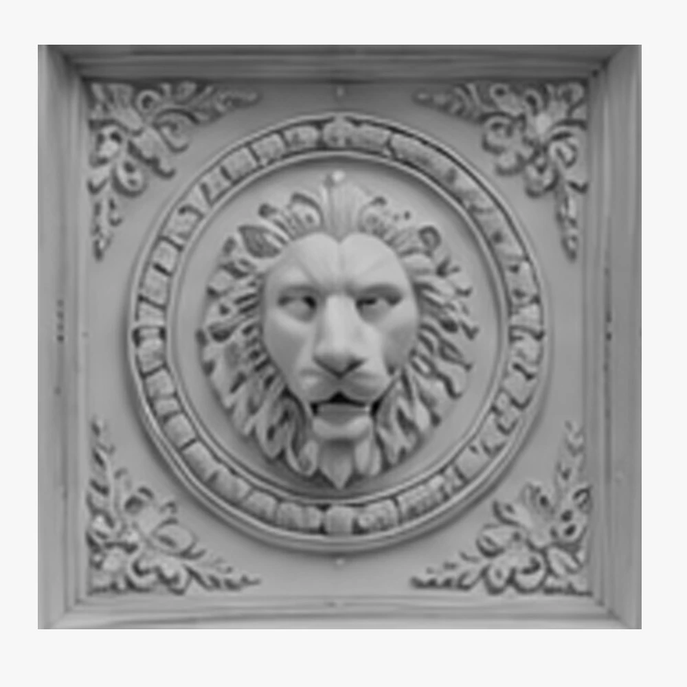 Carved Foam Ceiling Systems 3