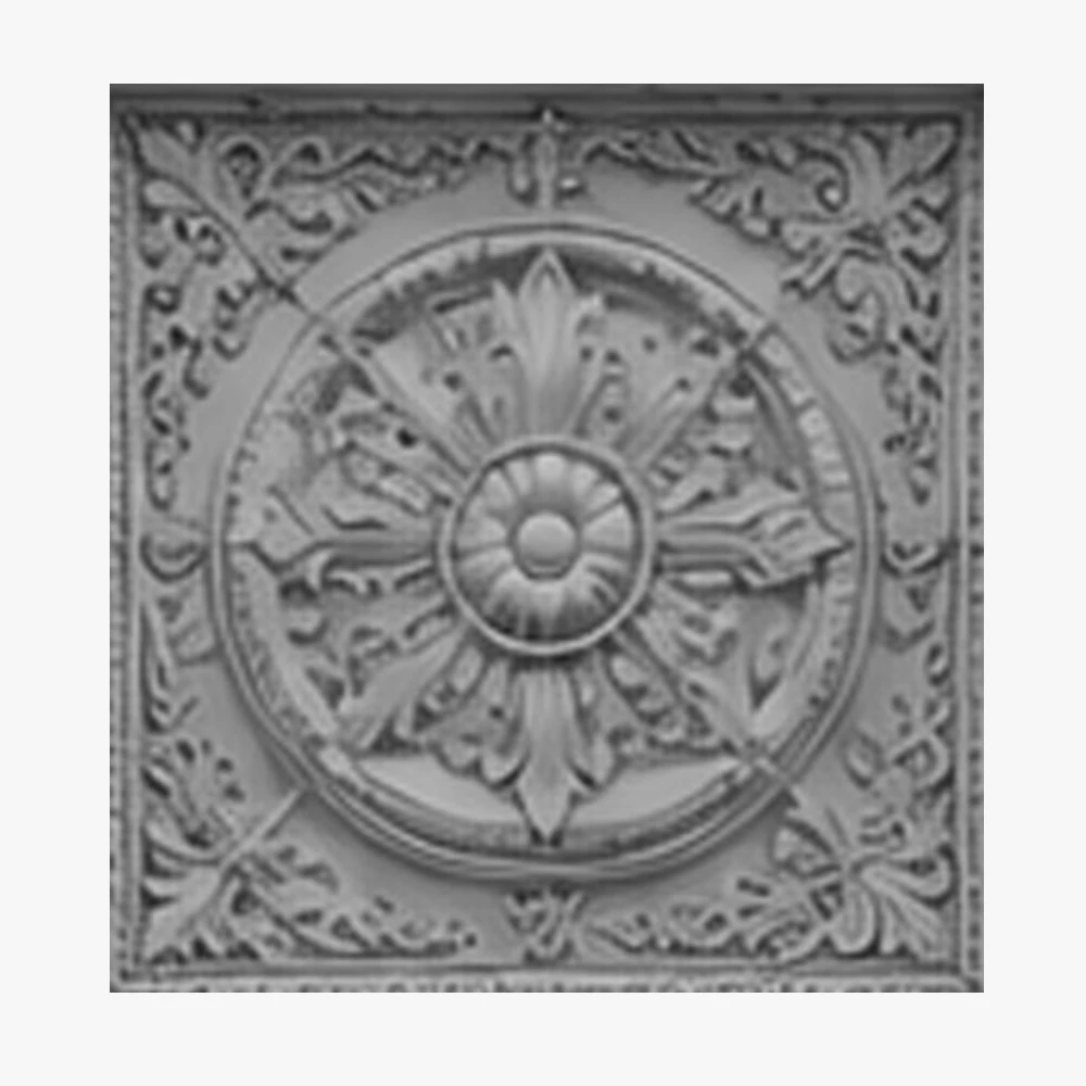 Carved Foam Ceiling Systems 5