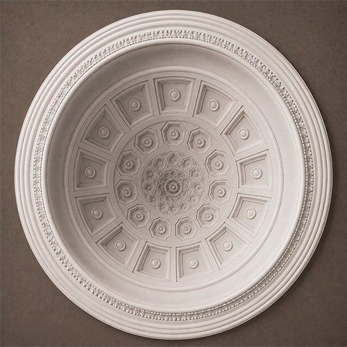 CDDS MOD019