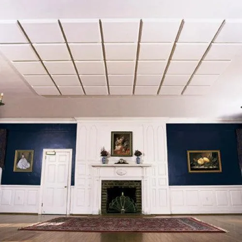 Acoustic Ceiling Panels
